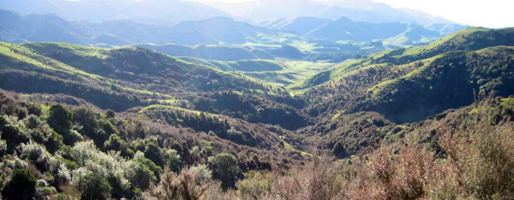 New Zealand mountains