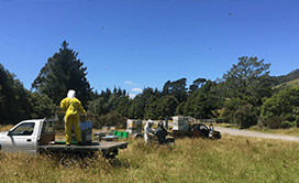 Loading our beehives