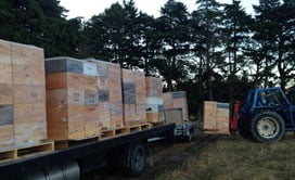 Removal of our beehives